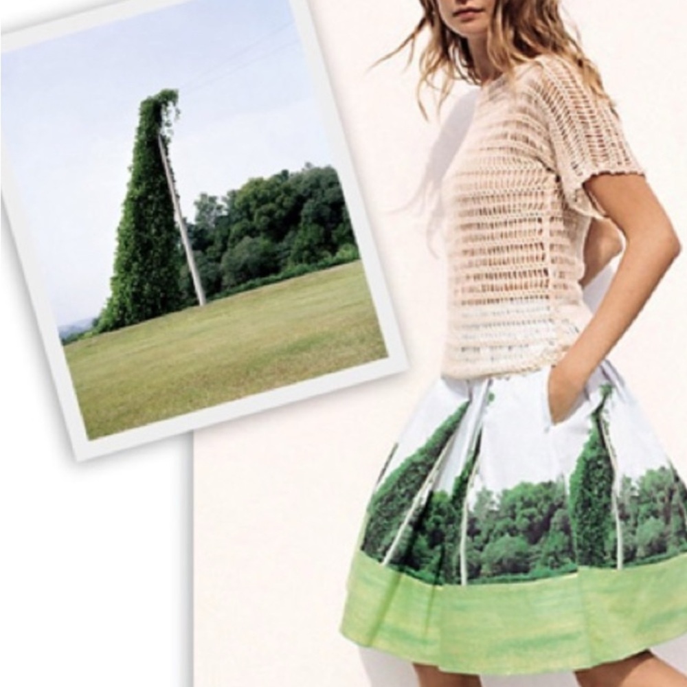Anthropologie, Sandra Ball Photography Stylish Green and White Skirt, Size 8 - Picture 3 of 14